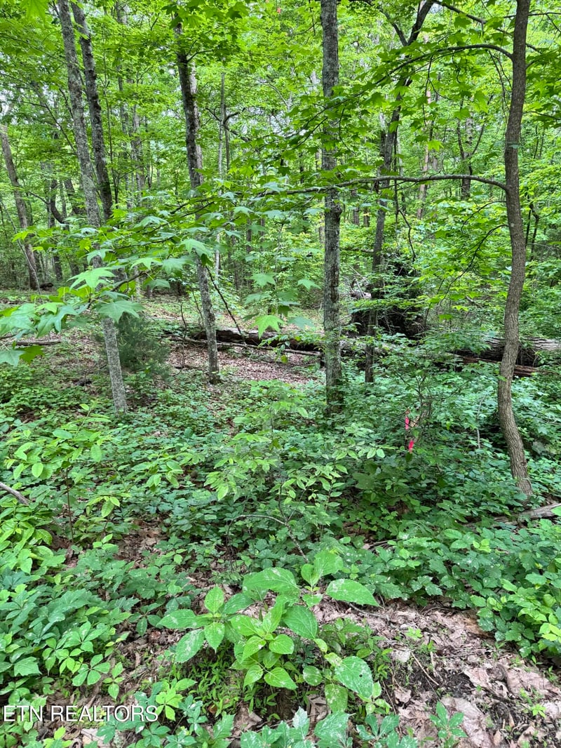 0 Prettiest Sunset Way Lot 3, Seymour, TN 37865