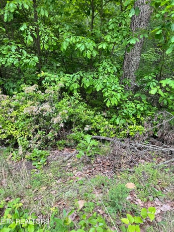 0 Prettiest Sunset Way Lot 3, Seymour, TN 37865