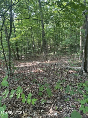 0 Prettiest Sunset Way Lot 3, Seymour, TN 37865