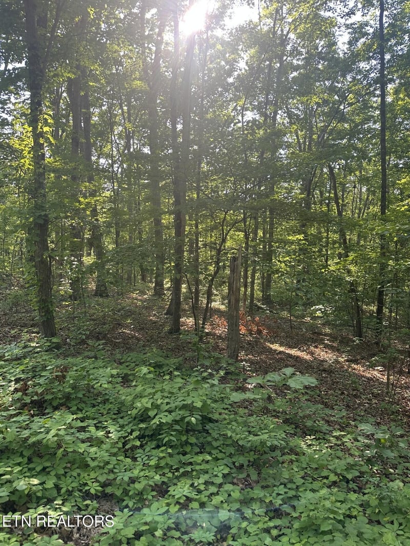 0 Prettiest Sunset Way Lot 3, Seymour, TN 37865