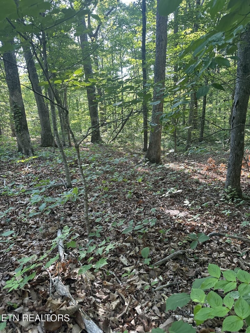 0 Prettiest Sunset Way Lot 3, Seymour, TN 37865