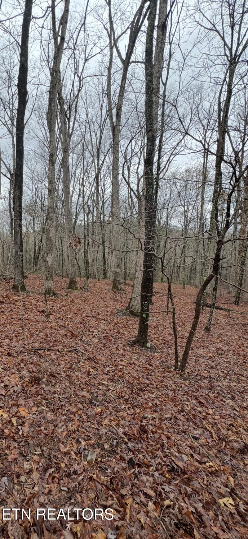 0 Prettiest Sunset Way Lot 4, Seymour, TN 37865