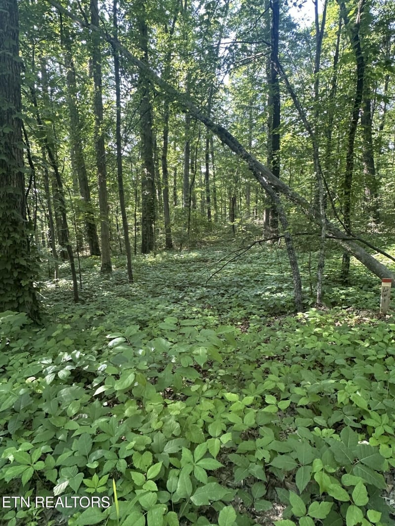 0 Prettiest Sunset Way Lot 4, Seymour, TN 37865