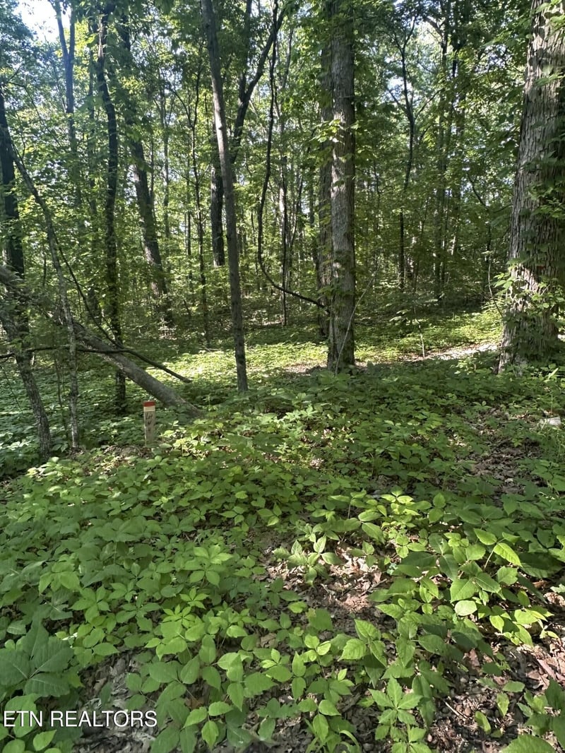 0 Prettiest Sunset Way Lot 4, Seymour, TN 37865