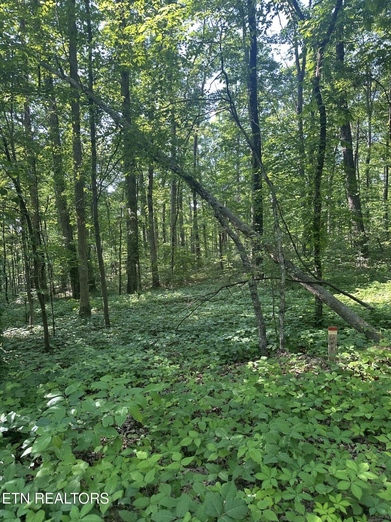 0 Prettiest Sunset Way Lot 4, Seymour, TN 37865