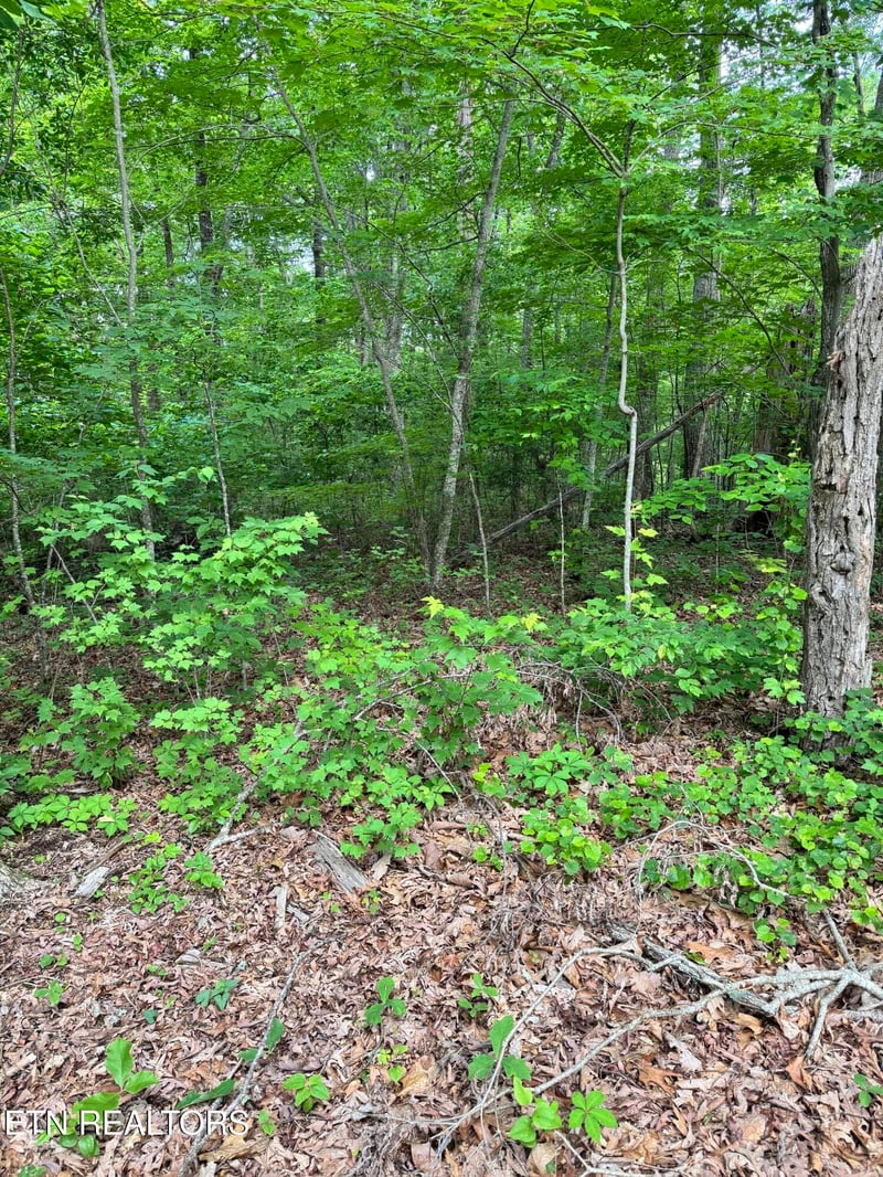 0 Prettiest Sunset Way Lot 5, Seymour, TN 37865
