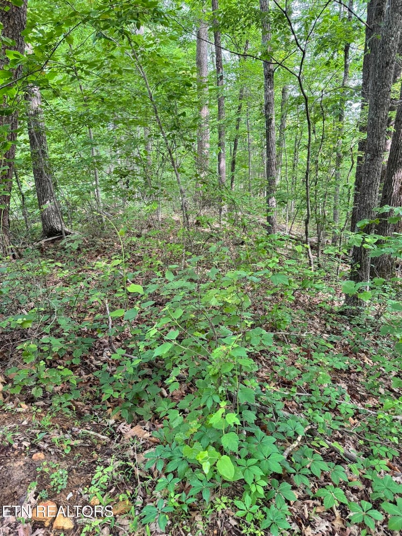 0 Prettiest Sunset Way Lot 5, Seymour, TN 37865