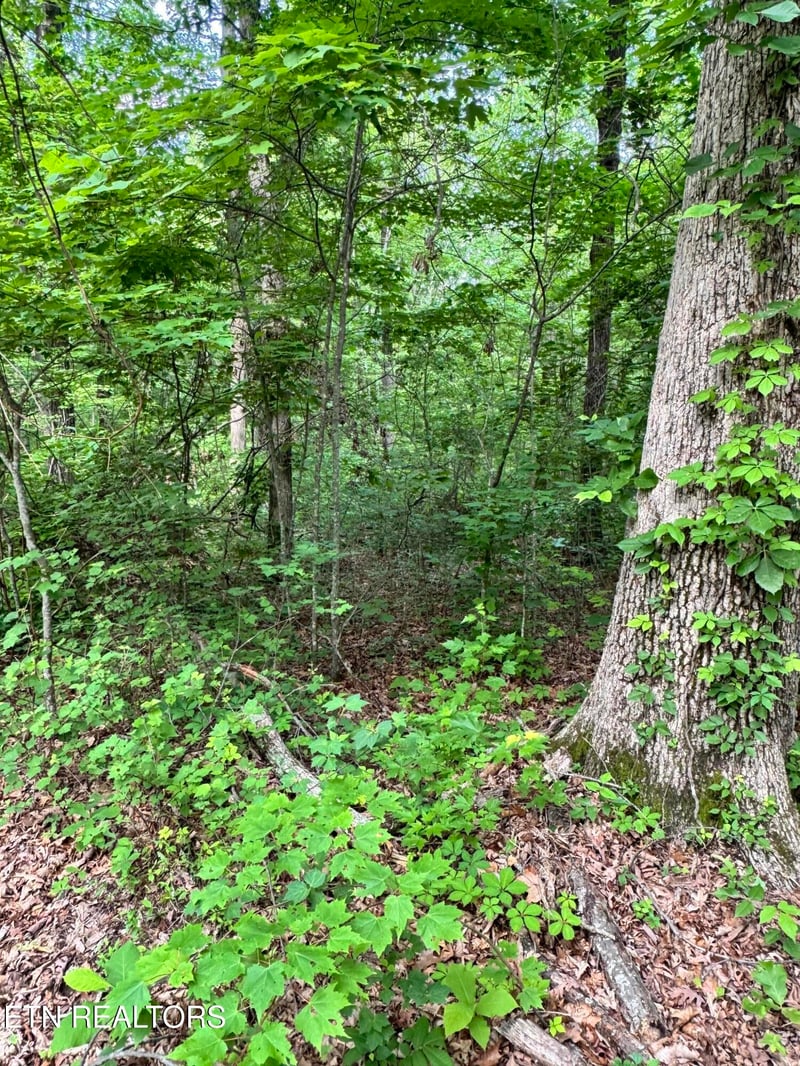 0 Prettiest Sunset Way Lot 5, Seymour, TN 37865