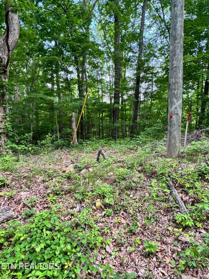 0 Prettiest Sunset Way Lot 5, Seymour, TN 37865