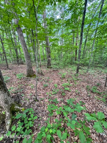 0 Prettiest Sunset Way Lot 5, Seymour, TN 37865