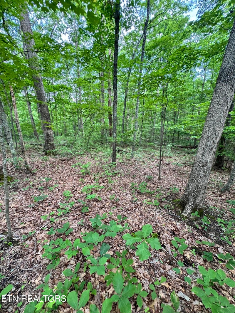 0 Prettiest Sunset Way Lot 5, Seymour, TN 37865