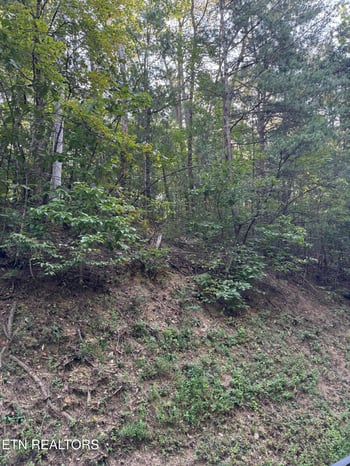 0 Progess Hill Drive Blvd, Pigeon Forge, TN 37863