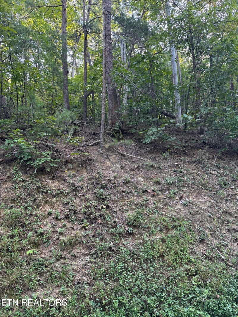 0 Progess Hill Drive Blvd, Pigeon Forge, TN 37863