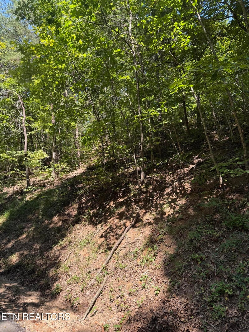 0 Progress Hill, Pigeon Forge, TN 37863
