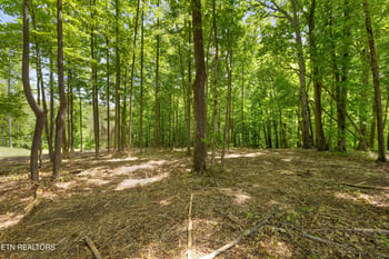 0 Providence Ridge Way, Knoxville, TN 37932