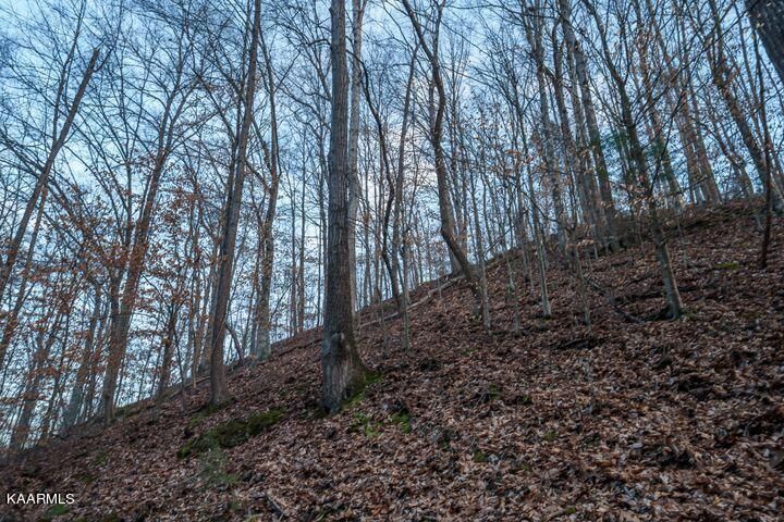 0 Pt 19 Dunn Hollow Rd, Sevierville, TN 37862
