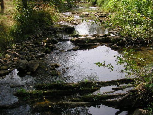 0 Puncheon Camp, Washburn, TN 37888