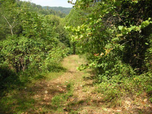 0 Puncheon Camp, Washburn, TN 37888