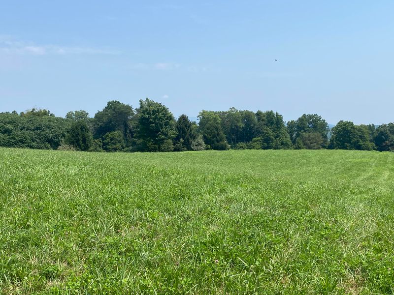 0 Quail Run Dr E Of Ln, Lafollette, TN 37766