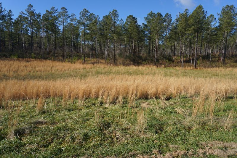 0 Quail Run Dr, Vonore, TN 37885