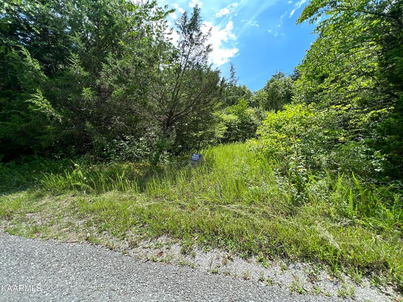 0 Quarry Dr, Jacksboro, TN 37757
