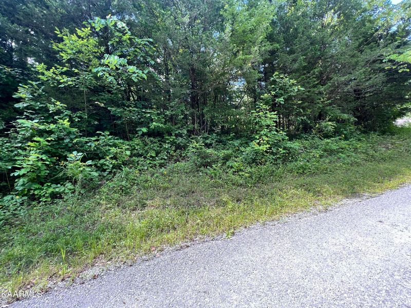 0 Quarry Dr, Jacksboro, TN 37757