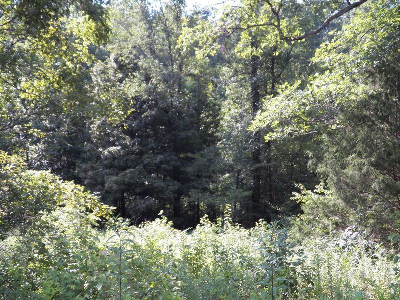 0 Raby Hollow Rd, Kingston, TN 37763