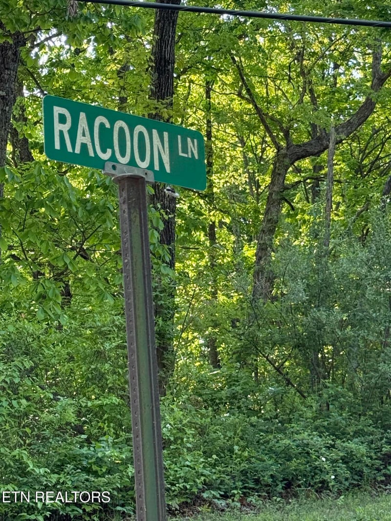 0 Racoon Ln #79, Pioneer, TN 37847