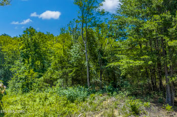 0 Raejon Way, Sevierville, TN 37862