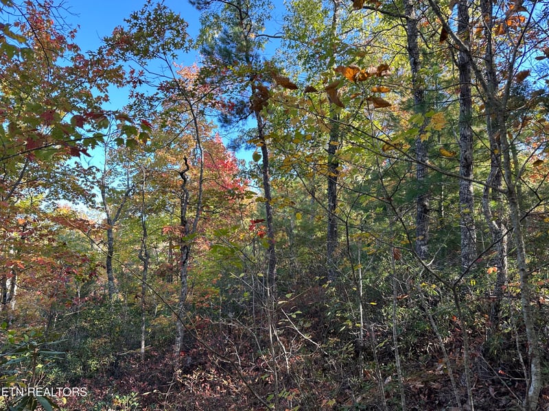 0 Rail Hill Rd, Cosby, TN 37722