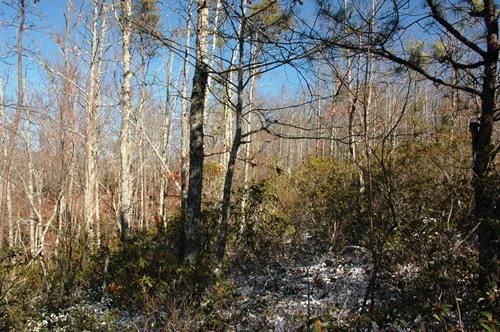0 Rail Hill Way Rd, Cosby, TN 37722