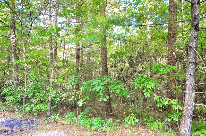 0 Rainbow Cir, Townsend, TN 37882