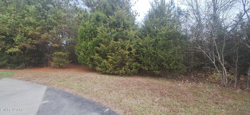 0 Raintree Ln, Kingston, TN 37763