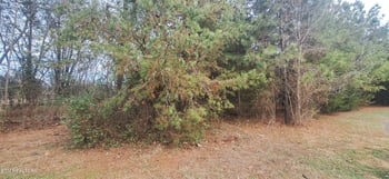 0 Raintree Ln, Kingston, TN 37763