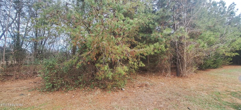 0 Raintree Ln, Kingston, TN 37763