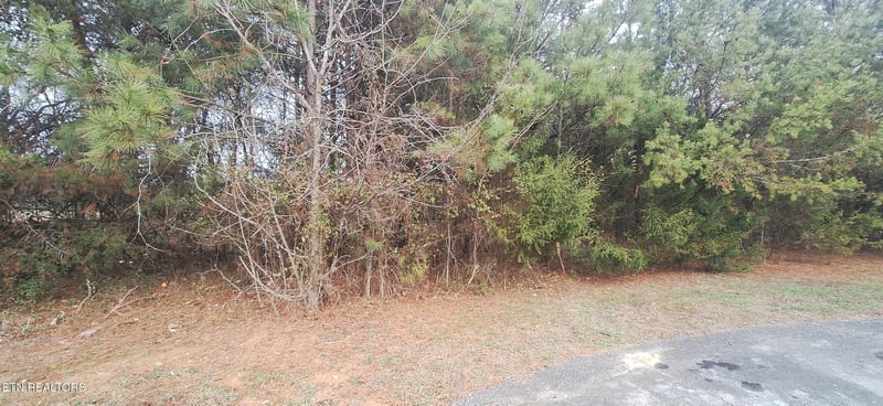 0 Raintree Ln, Kingston, TN 37763