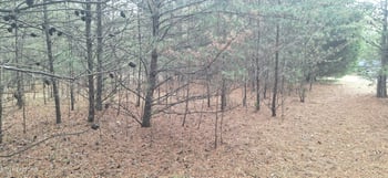 0 Raintree Ln, Kingston, TN 37763