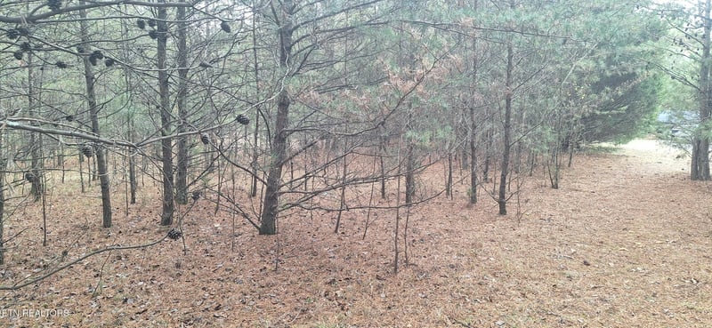 0 Raintree Ln, Kingston, TN 37763