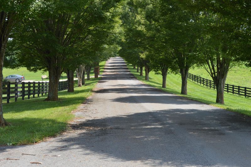 0 Ranch Rd, Blaine, TN 37709