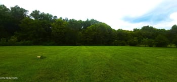 0 Randys Timber Way, Corryton, TN 37721