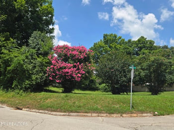 0 Rayder Ave, Loudon, TN 37774