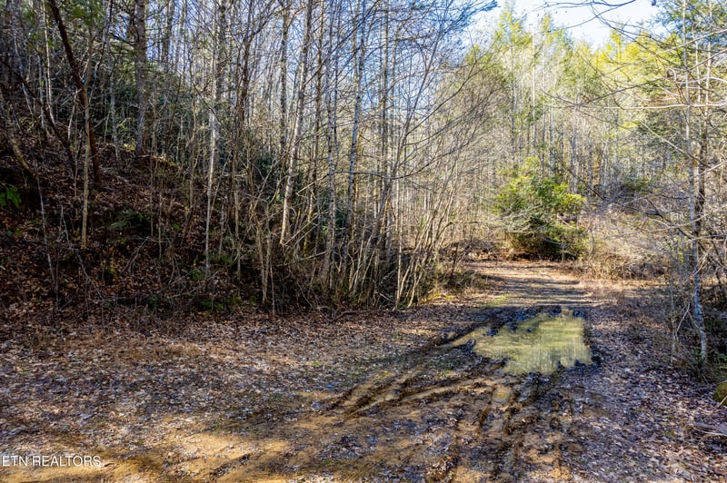 0 Raymond Way, Cosby, TN 37722