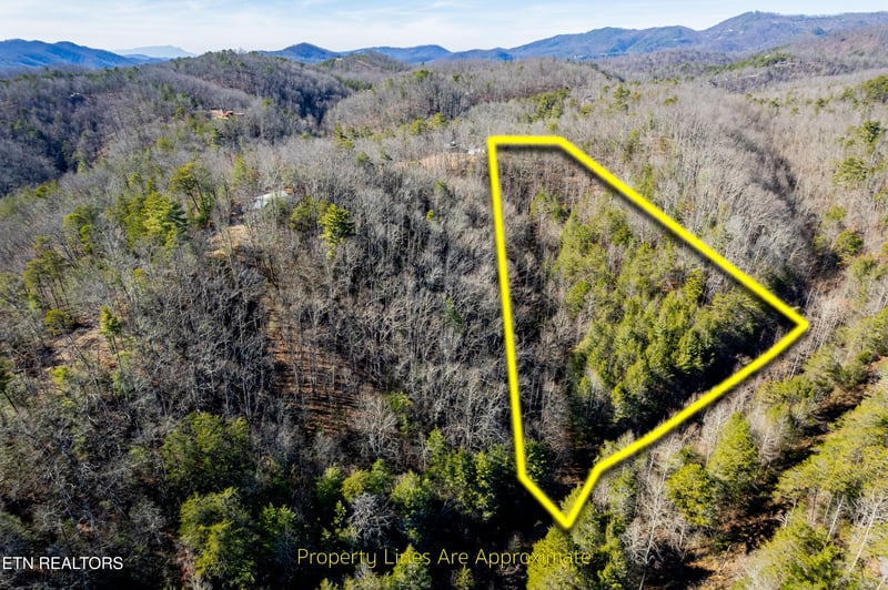 0 Raymond Way, Cosby, TN 37722
