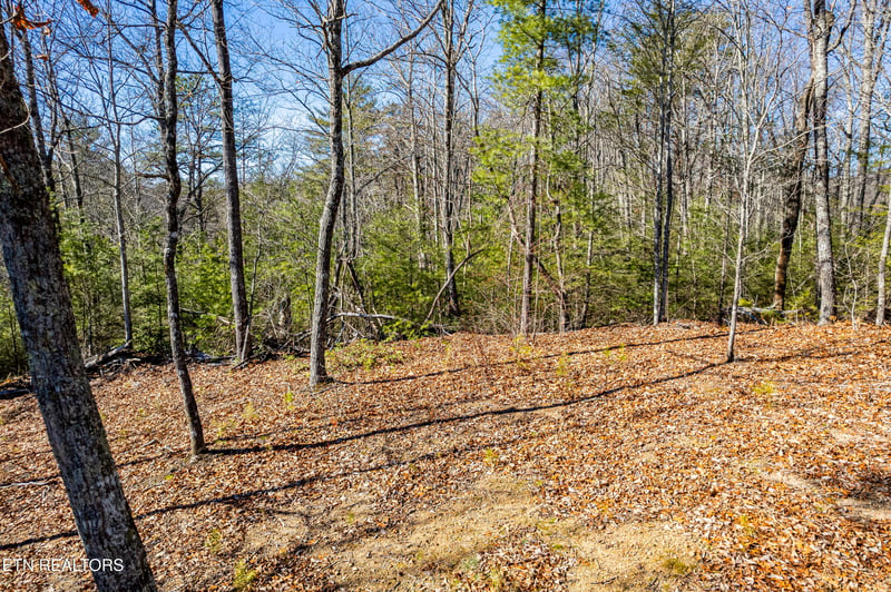 0 Raymond Way, Cosby, TN 37722