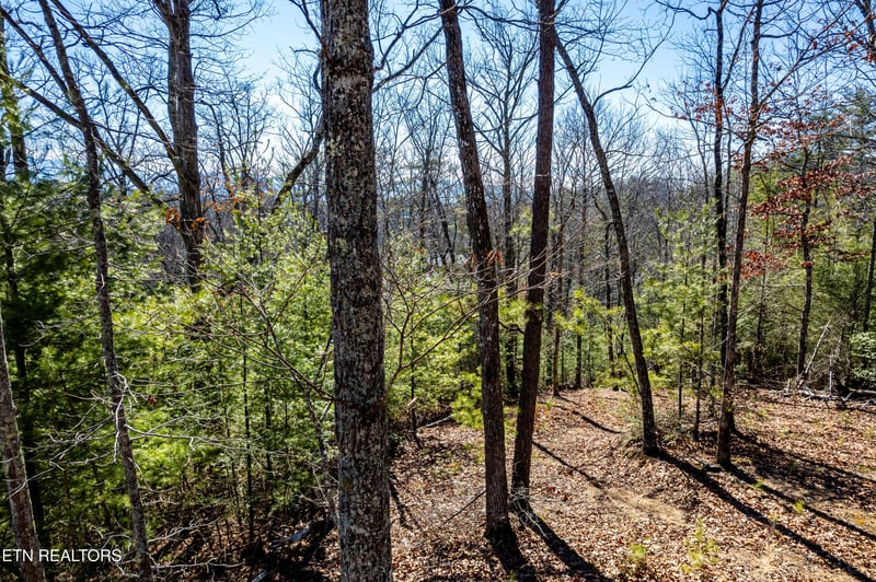 0 Raymond Way, Cosby, TN 37722