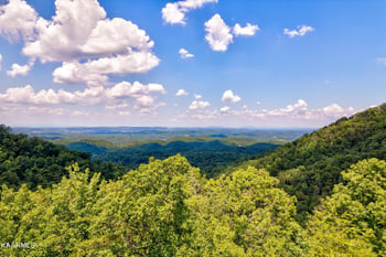 0 Reagan Springs Rd, Seymour, TN 37865