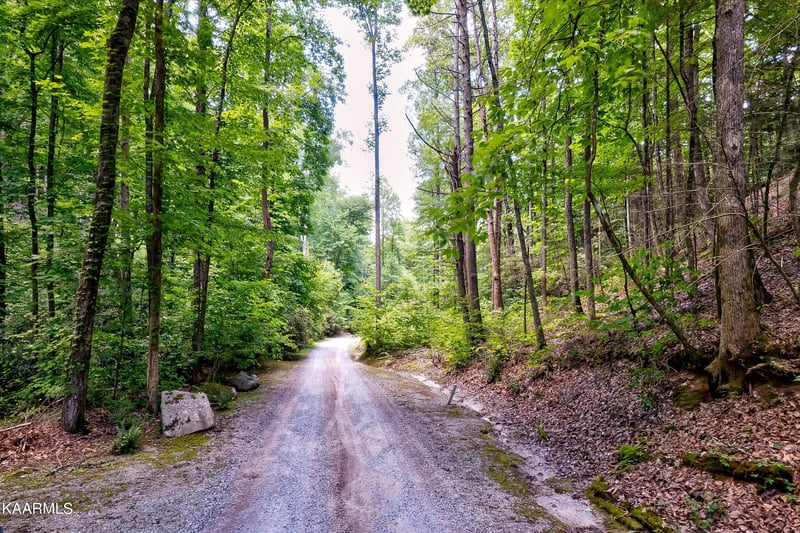 0 Reagan Springs Rd, Seymour, TN 37865