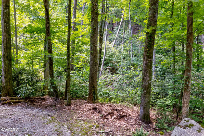 0 Reagan Springs Rd, Seymour, TN 37865