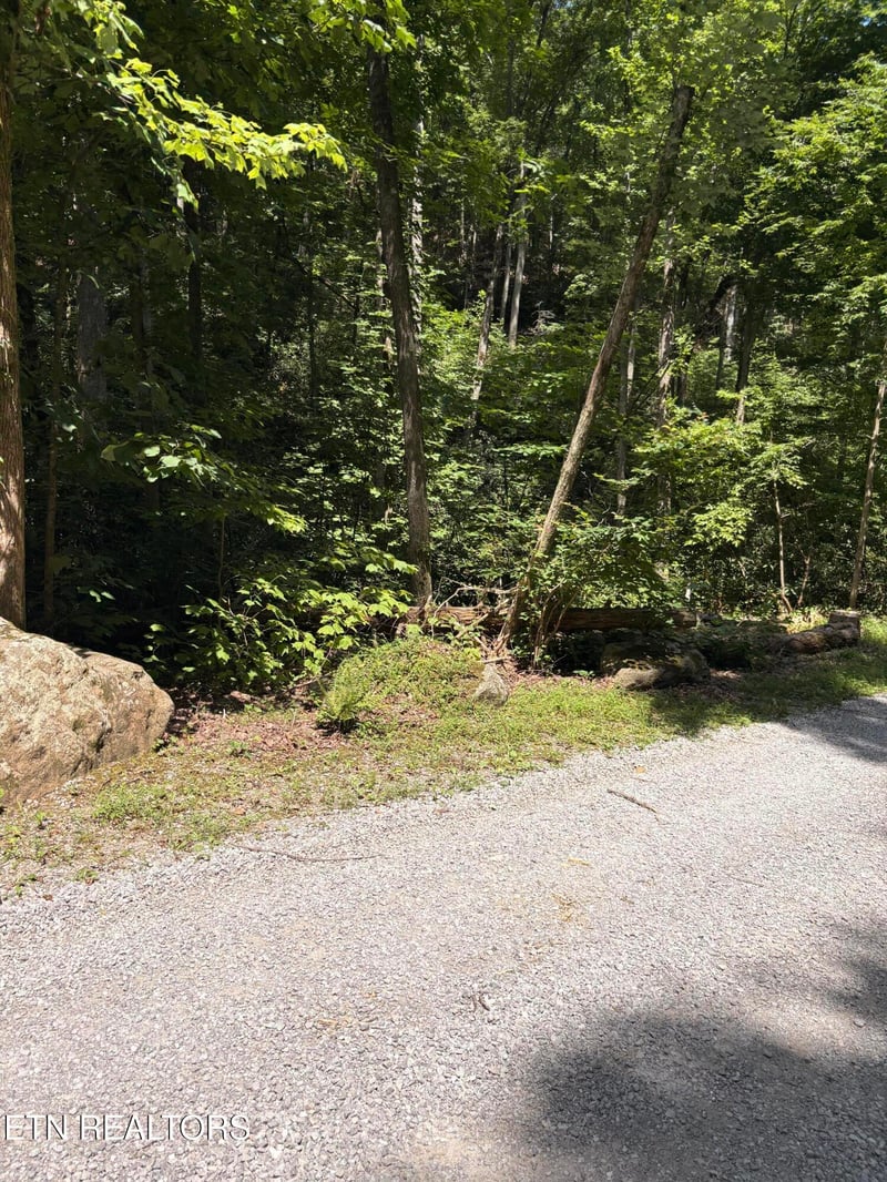 0 Reagan Springs Rd, Seymour, TN 37865
