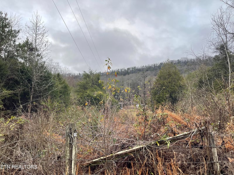 0 Reagan Valley Rd, Tellico Plains, TN 37385